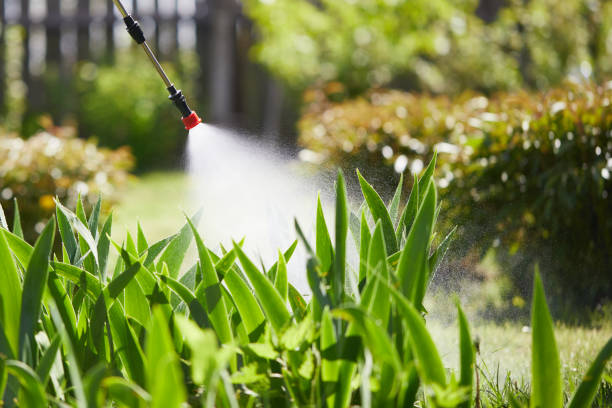 Void Injection for Cockroach Colonies in Garden City