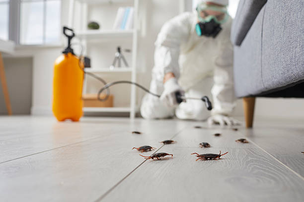 Commercial Kitchen Cockroach Control in Garden City